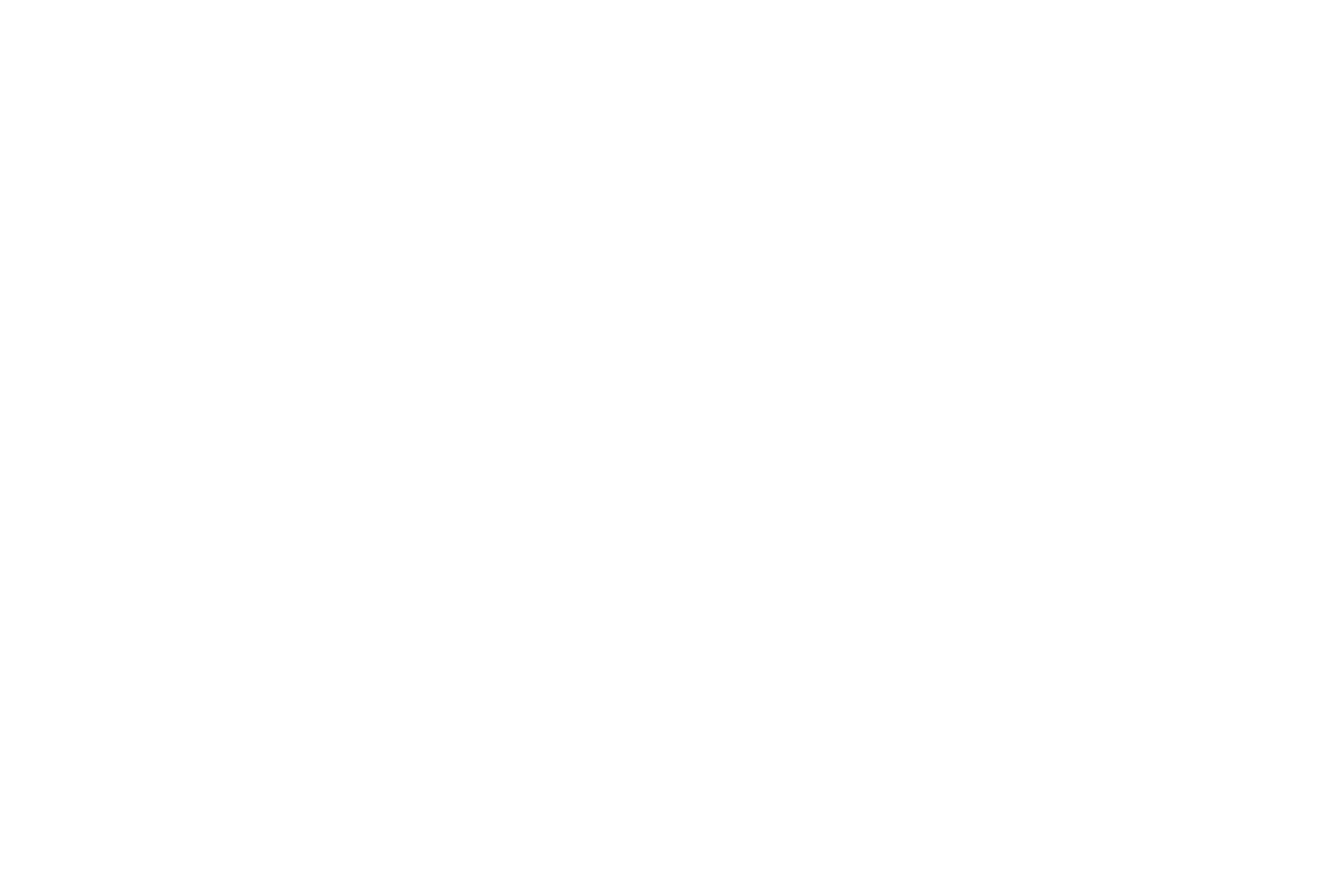 Instituto Vera Saldanha